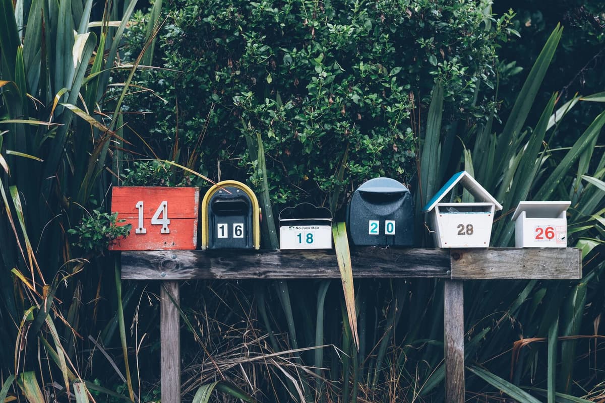 Newsletter Sequoia Lab