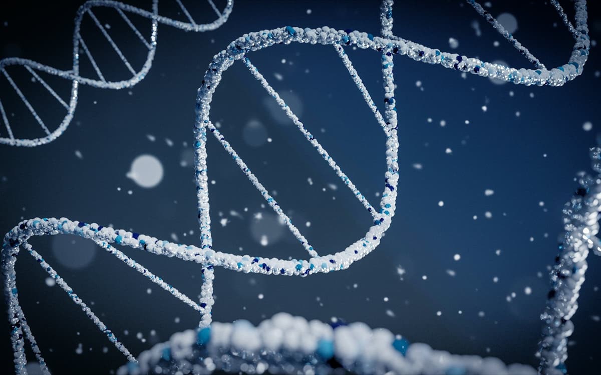 Représentation en trois dimensions d'une double hélice d'ADN